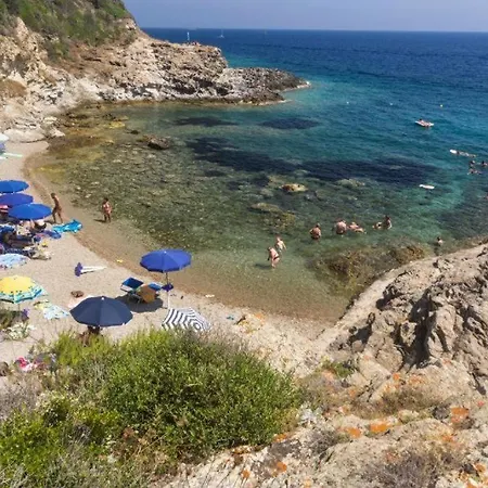 - Goelba *